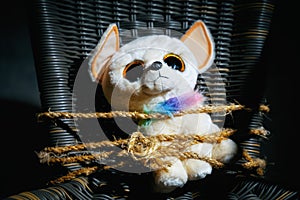 Soft toy of a sad dog tied with a body rope to a chair in a dark room. Parody for the abduction of children. Hostage taking