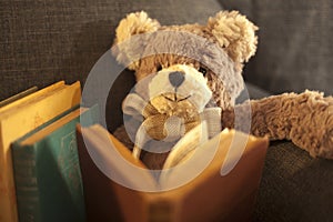Soft Toy Teddy