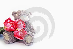 Soft toy teddy bear with a bouquet of pink tulips for Valentine`s Day and Women`s Day