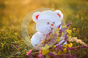 Soft toy teddy bear in the grass