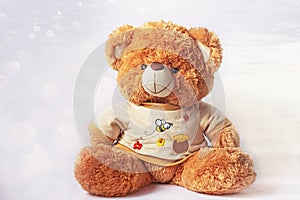 Soft toy teddy bear on a light background
