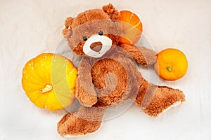 Soft toy teddy bear with pumpkin on sackcloth fabric texture