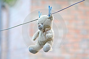 Soft toy teddy bear to dry on a rope