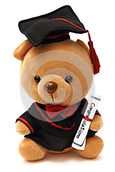 A soft toy teddy bear wearing a graduation gown