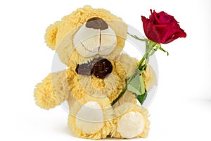 Soft toy Teddy with red rose for Valentines day