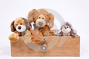 Soft toys in a draw photo