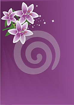 Soft Violet Lilies Backdrop Portrait