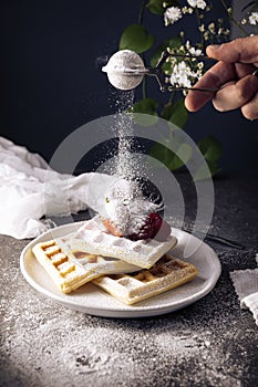 Soft Waffles and Icing Sugar