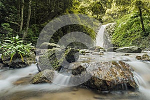 soft water of the stream in the natural park, Beautiful waterfall in rain forest