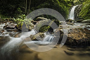 soft water of the stream in the natural park, Beautiful waterfall in rain forest