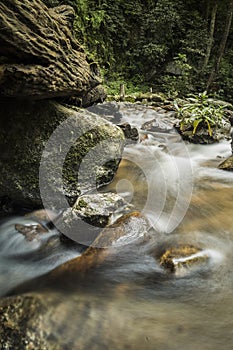 soft water of the stream in the natural park, Beautiful waterfall in rain forest