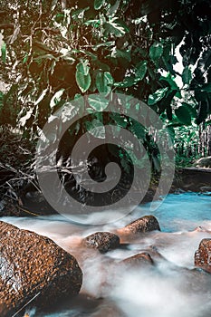 soft water of the stream in the natural park, Beautiful waterfall in rain forest