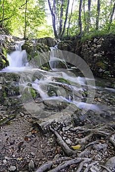 Soft waterfalls in the forest.