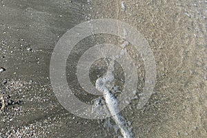 Soft Wave Of Black sea, on sandy beach. Background image. Summer day, evening time