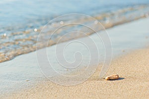 Soft wave of the sea and beach sand