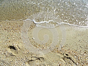 Soft wave of the sea on the sand beach for background