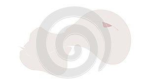 Soft Wavy Gradient: Abstract Subtle Design Element, vector design Generative AI