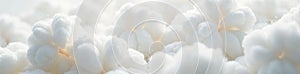 Soft, white cotton ball texture; close up view , backdrop, winter, element