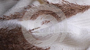 soft white embossed striped fabric or plaid close-up with decorative dry herbs,pampas , reed grass ,fox tail or feather