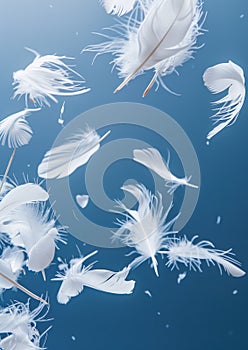 Soft white feathers ascending against a light blue sky, symbolizing freedom and the lightness of being