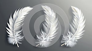 Soft white feathers isolated on transparent background. Down or plume from wings of birds or angels, symbol of purity