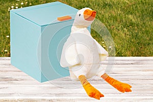 A soft white soft toy duck sits cosily on a table and is leaning against a blue gift box in front of a blurred lawn background.