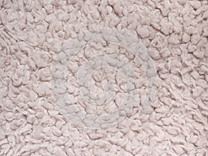 Soft wool texture background, light natural sheep wool, close-up texture