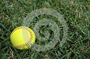 Softball in the Outfield photo