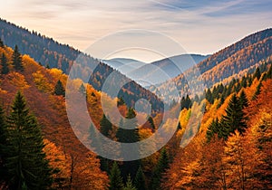 Is softly lit, suggesting early morning or late afternoon light,