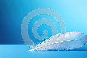 Softness abstract wing detail closeup background feather light plumage soft bird pattern fluffy white