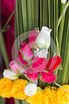 Softness of fabric roses flower