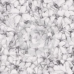 Softness floral seamless pattern. Many different Hand drawn black and white pencil drawing abstract flowers.