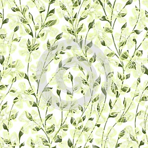 Softness Nature floral seamless pattern Twigs with green leaves and abstract transparent light yellow flowers on white background