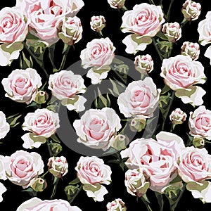 Softness pink roses with dark green stems on black background