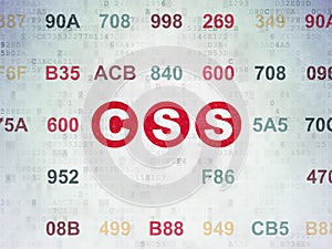 Software concept: Css on Digital Data Paper background