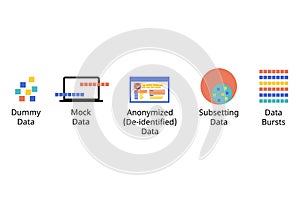 Software Data testing type such as mock data, dummy data, anonymized, subsetted and bursts