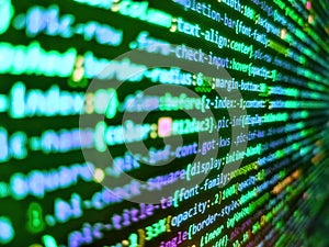 Software developer web program script. Developer working on websites codes in office. Concept screen of experienced web developer
