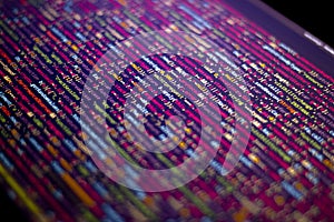 The software developer writes the coding