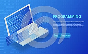 Software development and programming, program code on laptop screen, big data processing, computing isometric