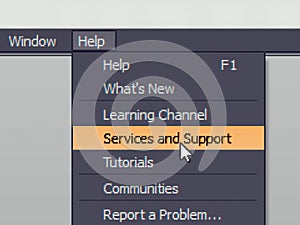 Software menu item with support service command