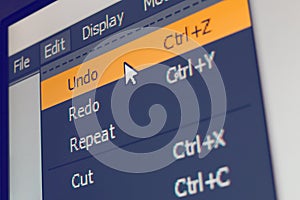 Software menu item with undo command