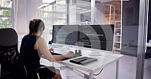 Software Programmer Or Coder Woman