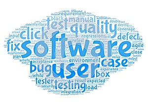 Software testing blue word cloud horizontal variant