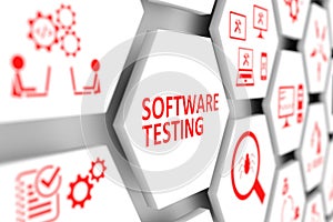 Software testing concept