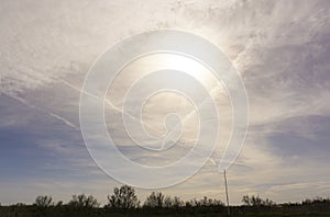 Softy and white fluffy cloudy blue sky with sunlight above the land of trees