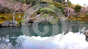 Sogenchi Pond Tenruu-ji Temple Kyoto