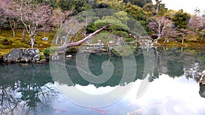 Sogenchi Pond Tenruu-ji Temple Kyoto photo