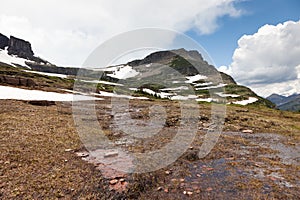 Soggy Snow Melt Creek photo