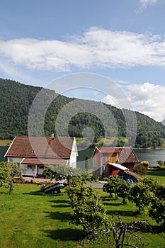 Sognefjord at Balestrand photo