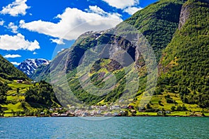 Sognefjord Scene